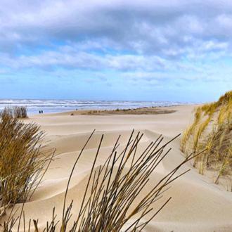 Modern Egmond Egmond aan Zee